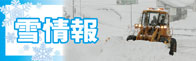 雪情報