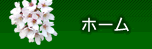 総合案内