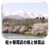松ヶ峯周辺の桜と妙高山（写真）