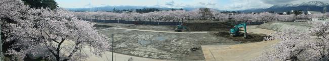 4月6日陸上競技場より見た現場は桜が満開です（写真）