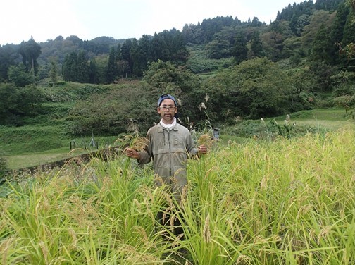 鴫谷さんと幻の米品種の写真