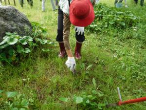 参加者がお礼肥えの施肥用の穴に肥料を施用する様子（写真）