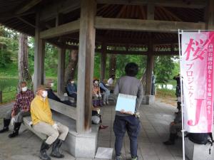 参加者が高田城址公園桜長寿命化計画第二期計画の説明を聞く様子（写真）