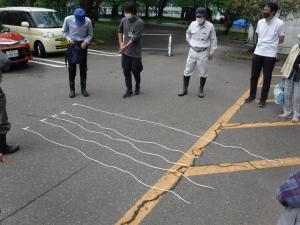 参加者が幹回りを測定した紐を並べ、長さを比較している様子（写真）