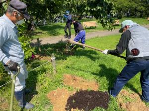 参加者が土壌改良のために掘った穴に肥料を入れ、埋め戻す様子の写真