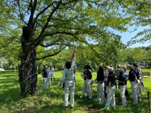 参加者が樹勢診断での枝の伸びの診断方法について説明を受ける様子（写真）
