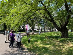 参加者が開花宣言木で樹勢診断をする様子（写真）
