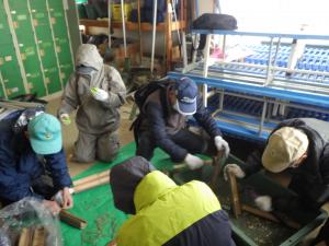 参加者が土壌改良用の竹筒づくりで竹を割る様子（写真）