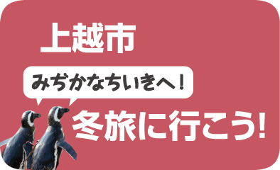 上越市Gotoキャンペーン