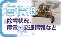 雪情報