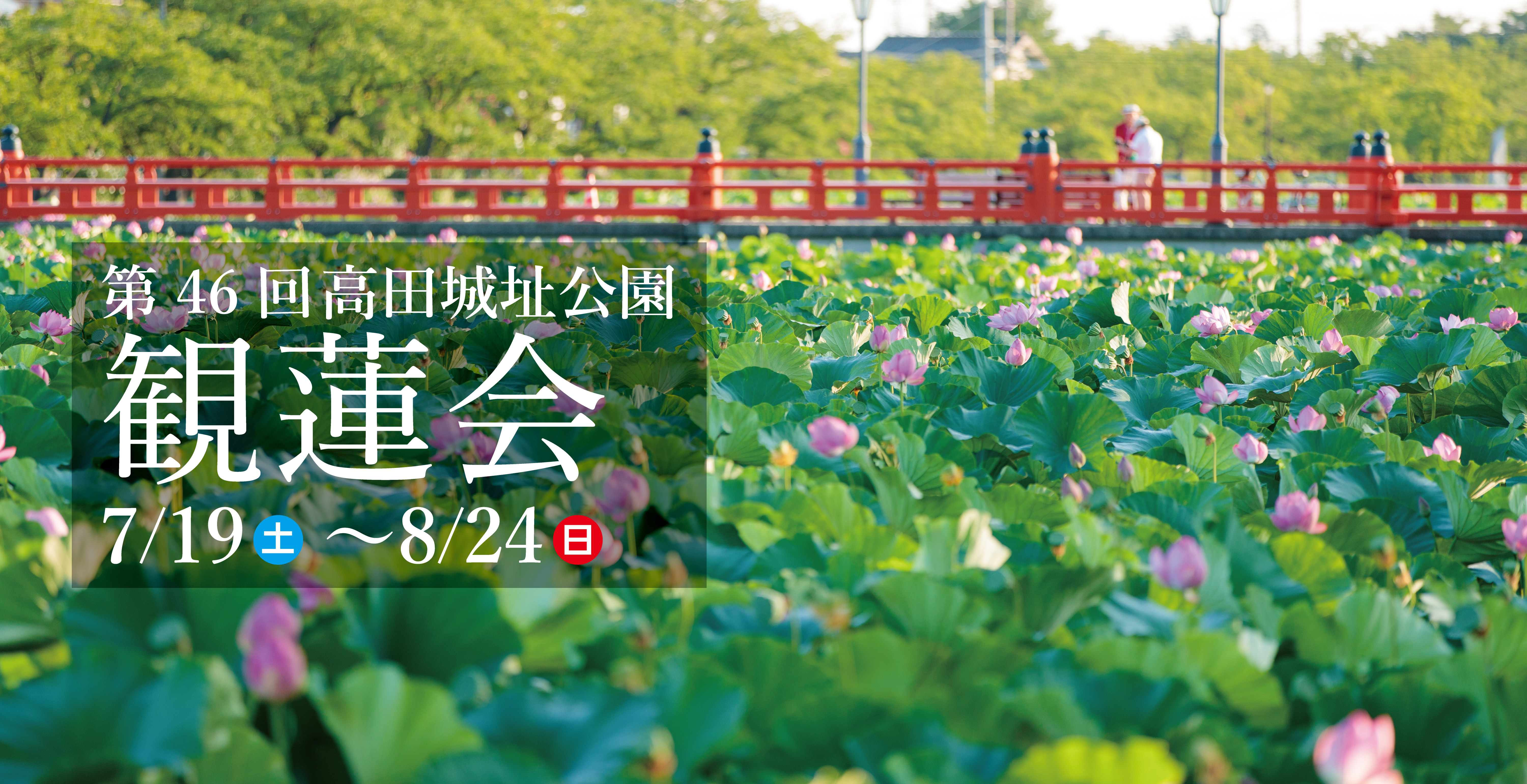 令和7年　第46回観蓮会
