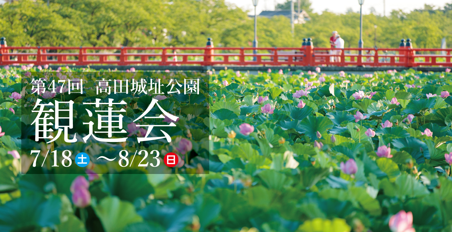 令和8年　第47回観蓮会