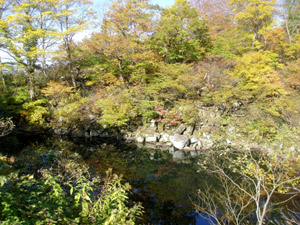秋：犀ヶ池（写真）