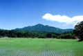 春の米山（写真）