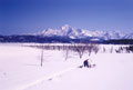 冬の米山（写真）