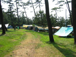 大潟キャンプ場の写真