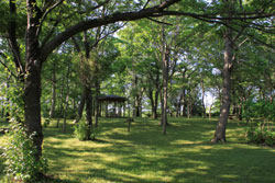 丸山古墳（新潟県立水と森公園内）の風景（写真）