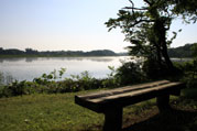 新潟県立大潟水と森公園（写真）