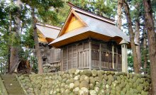 塚之宮八幡宮社叢（写真）