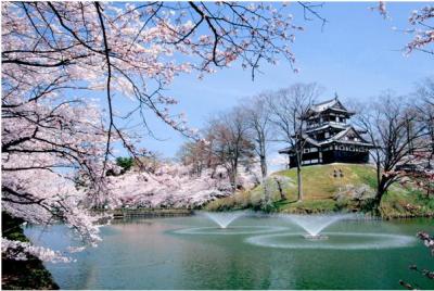 桜と三重櫓（写真）