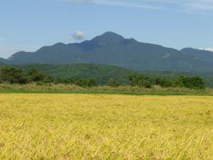 秋の米山の写真