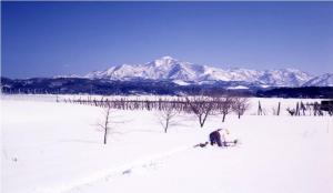 冬の米山の写真