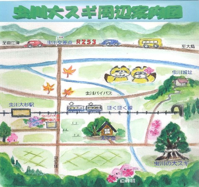 虫川大杉周辺地図