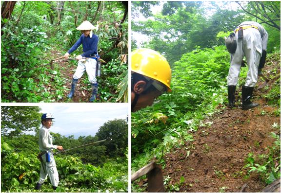 登山道の枝払い、草刈り及びステップ切り（写真）