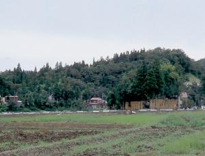 虫川城跡（画像）