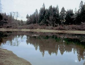 今熊窯跡（画像）