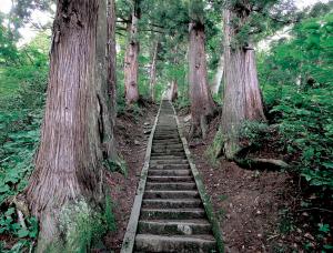 山寺薬師境内並びに杉並木（画像）