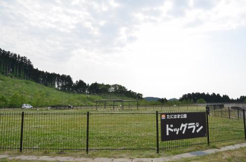 たにはまドッグラン駐車場入口側からの様子