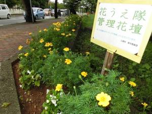 花壇（写真）