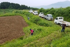 柿崎区の草刈り風景写真