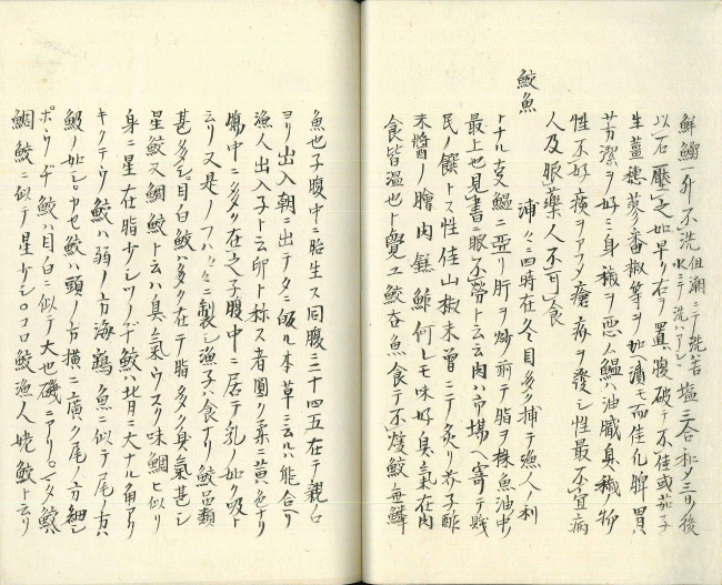 資料1（画像）