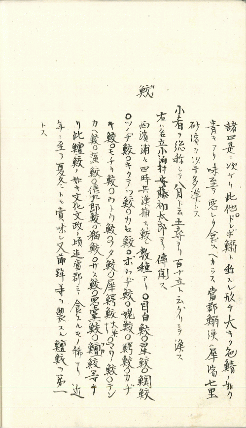 資料2（画像）