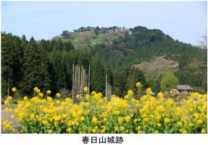 春日山城跡（写真）