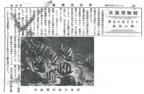 広報なおえつ創刊号（画像）