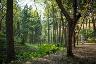 五智公園園内の写真