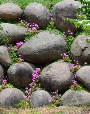 石積み（写真）