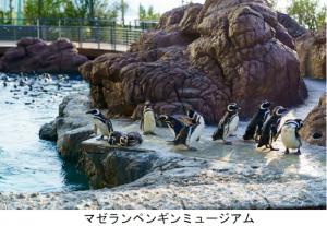 マゼランペンギンミュージアム（写真）