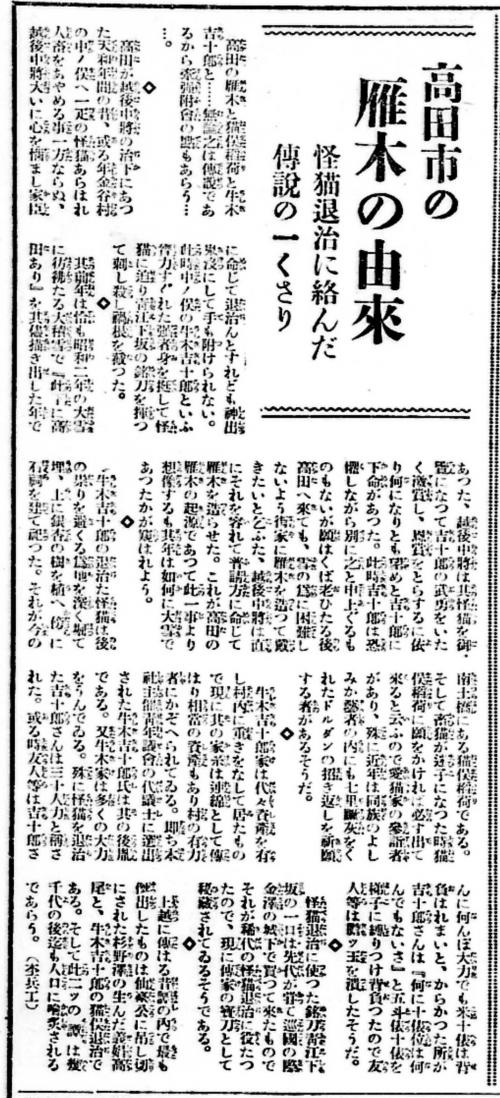 写真6：新聞