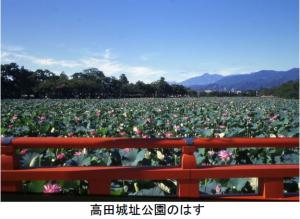 高田城址公園のはす