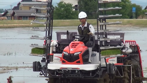 直進キープ田植機作業状況（写真）