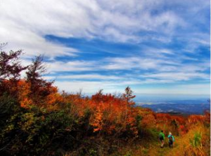 中山間地域の紅葉（写真）