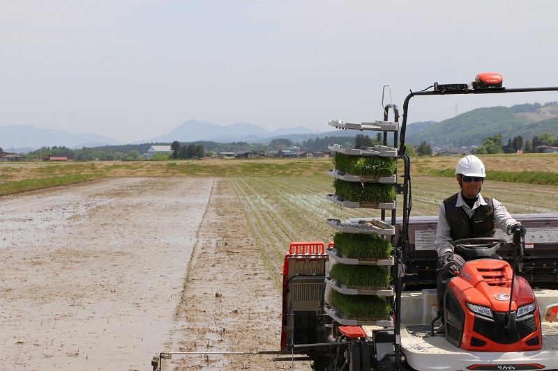 田植状況（写真）