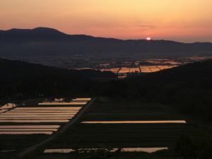 夕陽に映える板倉区達野の棚田（写真）