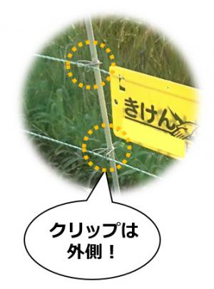 クリップ(写真)