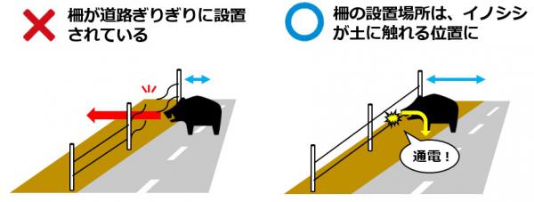 イノシシの前足が土に触れるように設置(画像)