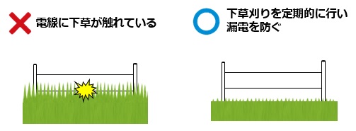 下草刈りをして漏電を防ぎましょう（画像）